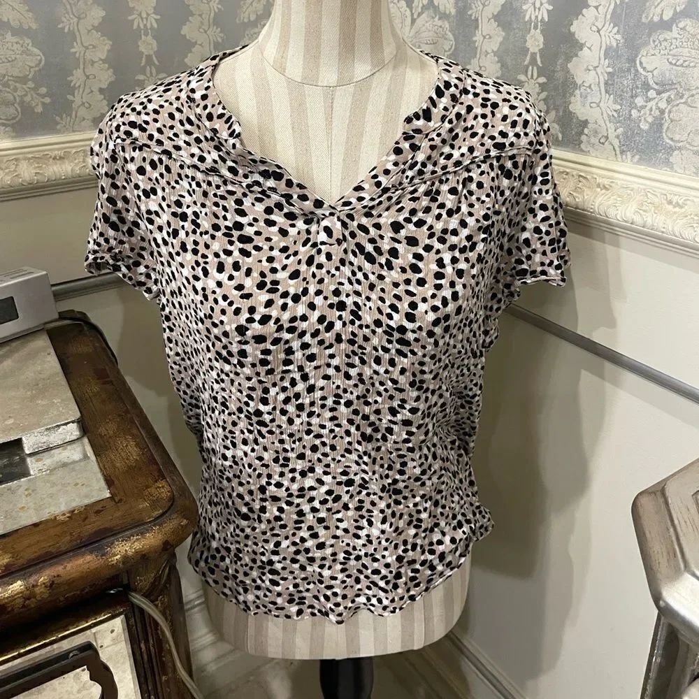 STITCH FIX Dotted V Neck Top!